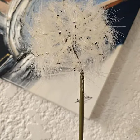 Gomes & Fortunato House *