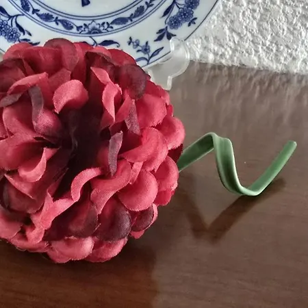 Hébergement de vacances Gomes & Fortunato House *