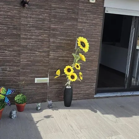 Hébergement de vacances Gomes & Fortunato House